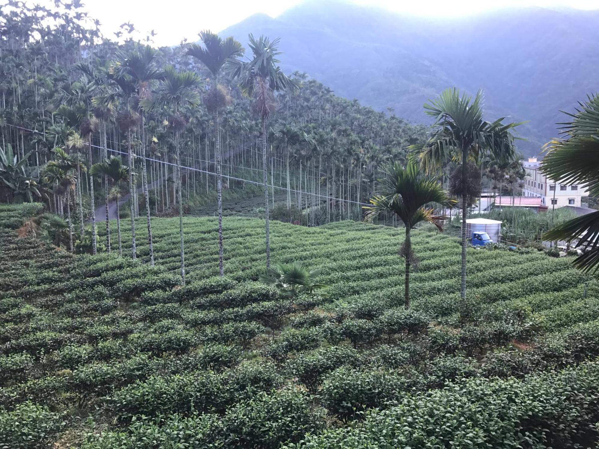 De Ren Tea Gardens Apartamento Meishan Exterior foto